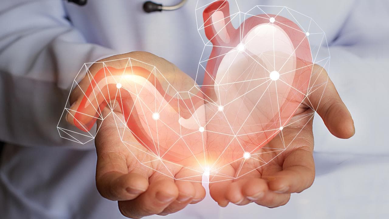 Porphyrien interdisziplinär: Wenn Bauchschmerz und Neurologie zusammengehören
